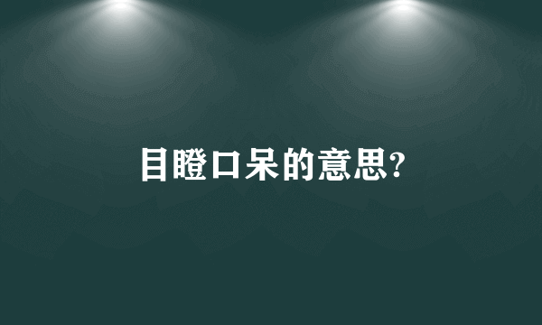 目瞪口呆的意思?