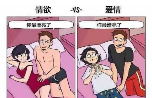 这个是什么梗，像极了爱情