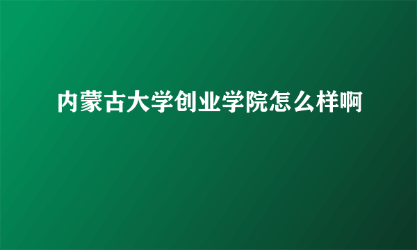 内蒙古大学创业学院怎么样啊