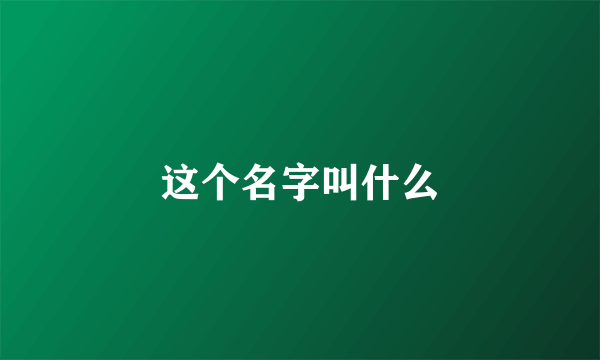 这个名字叫什么