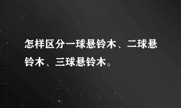 怎样区分一球悬铃木、二球悬铃木、三球悬铃木。