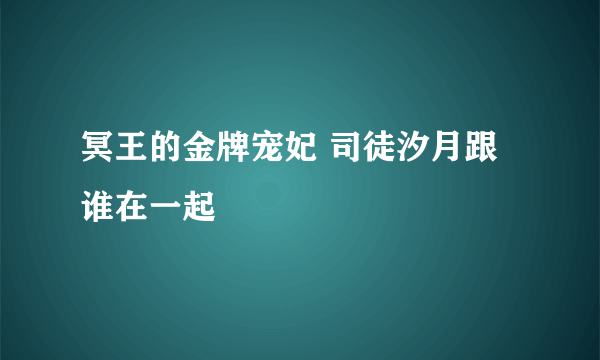 冥王的金牌宠妃 司徒汐月跟谁在一起