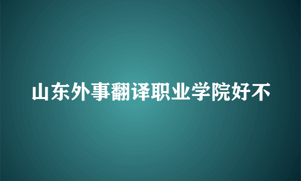 山东外事翻译职业学院好不