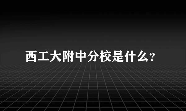 西工大附中分校是什么？