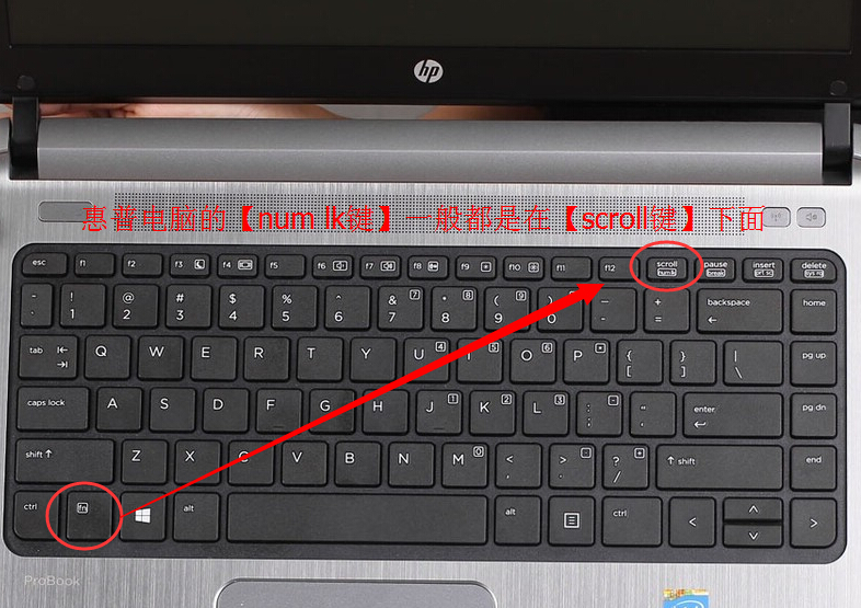 惠普笔记本NumLock键在哪?