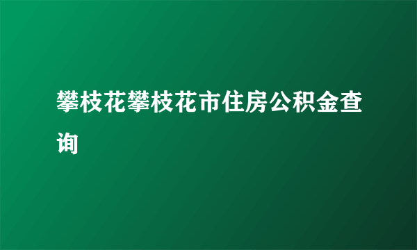 攀枝花攀枝花市住房公积金查询