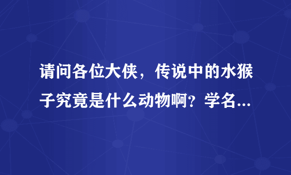 请问各位大侠，传说中的水猴子究竟是什么动物啊？学名是什么？