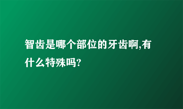 智齿是哪个部位的牙齿啊,有什么特殊吗?