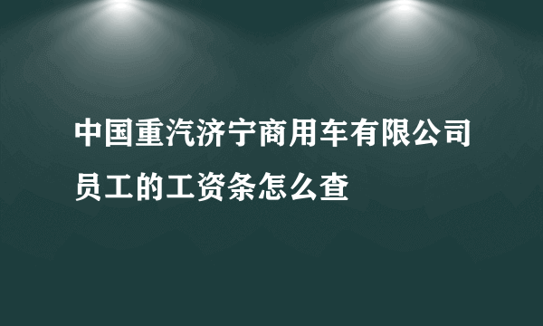 中国重汽济宁商用车有限公司员工的工资条怎么查