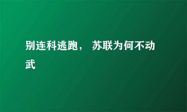 别连科逃跑， 苏联为何不动武