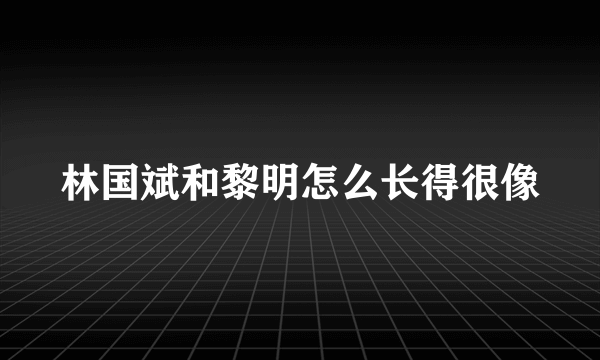 林国斌和黎明怎么长得很像