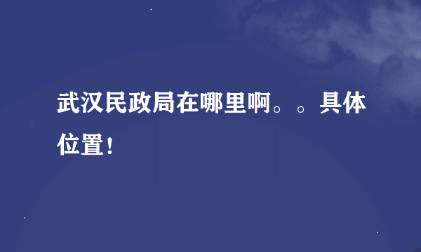 武汉民政局在哪里啊。。具体位置！