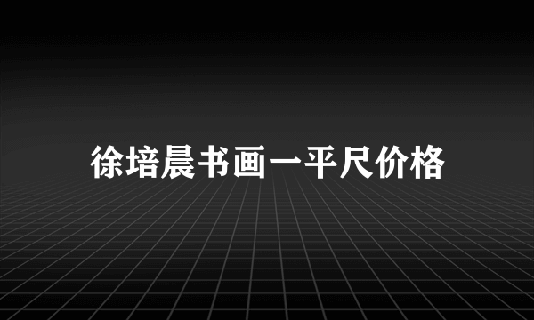 徐培晨书画一平尺价格