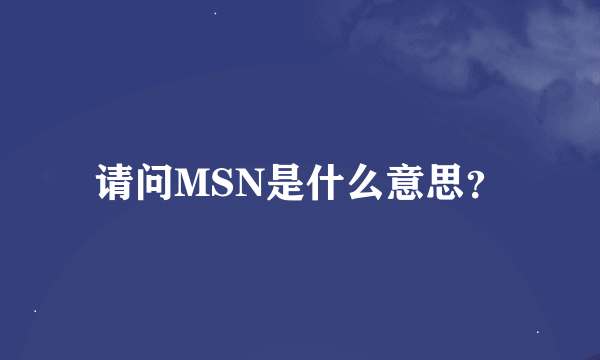 请问MSN是什么意思？