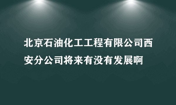 北京石油化工工程有限公司西安分公司将来有没有发展啊