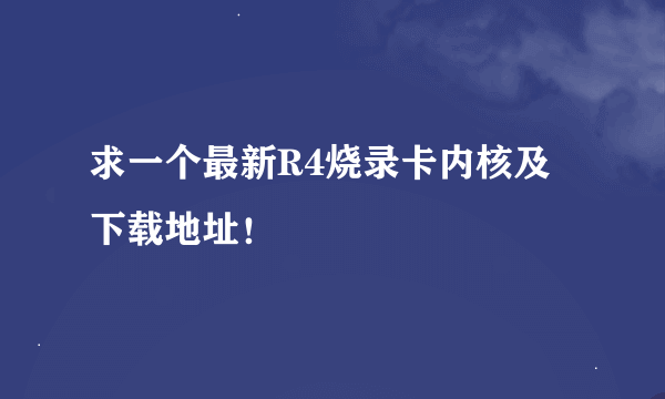 求一个最新R4烧录卡内核及下载地址！