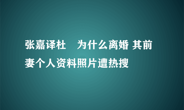 张嘉译杜珺为什么离婚 其前妻个人资料照片遭热搜