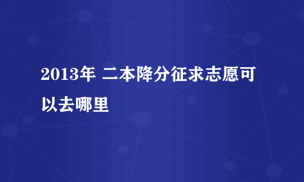 2013年 二本降分征求志愿可以去哪里