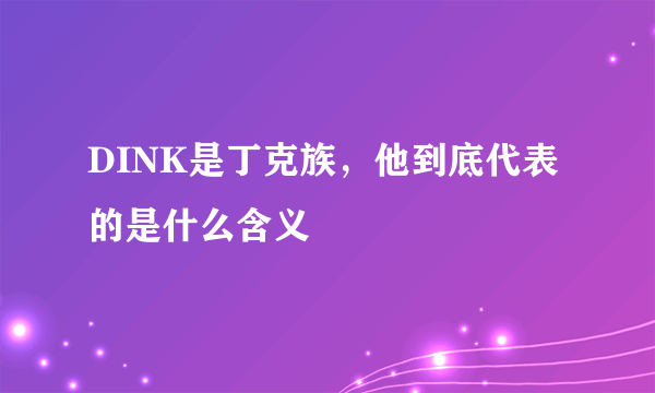 DINK是丁克族，他到底代表的是什么含义