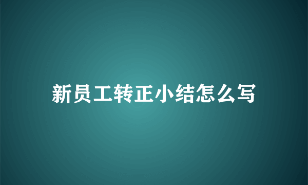 新员工转正小结怎么写