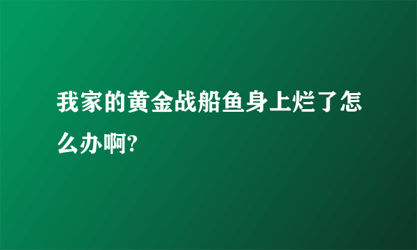 我家的黄金战船鱼身上烂了怎么办啊?