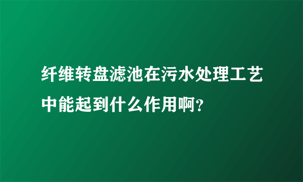 纤维转盘滤池在污水处理工艺中能起到什么作用啊？