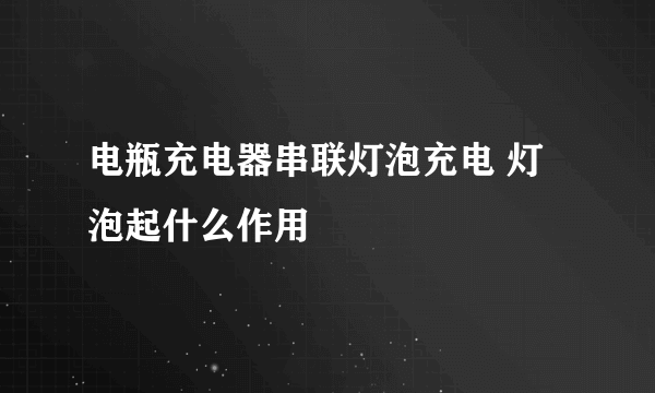 电瓶充电器串联灯泡充电 灯泡起什么作用