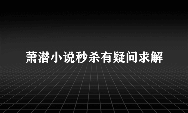 萧潜小说秒杀有疑问求解