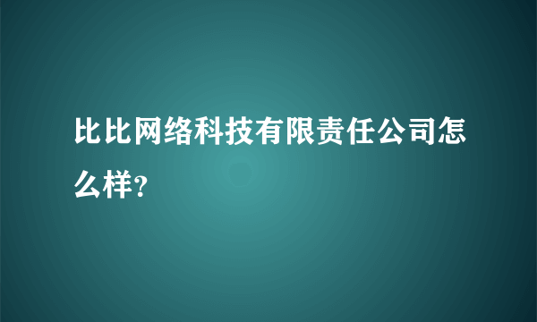 比比网络科技有限责任公司怎么样？