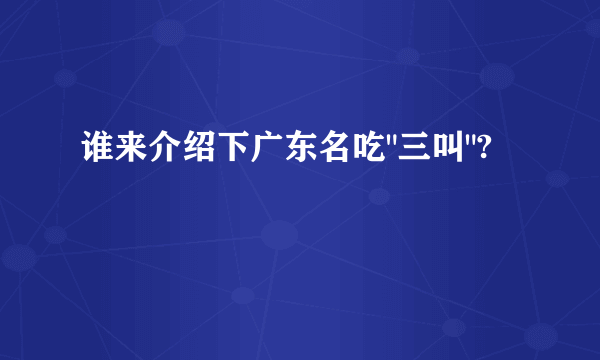 谁来介绍下广东名吃