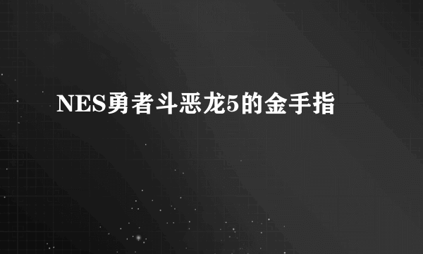 NES勇者斗恶龙5的金手指