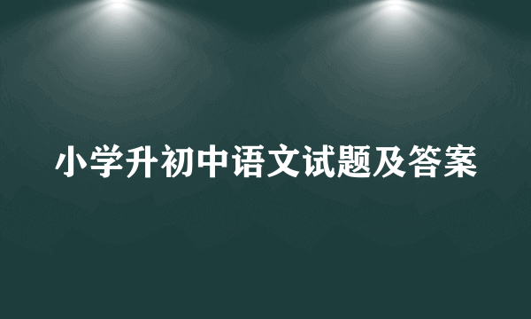 小学升初中语文试题及答案