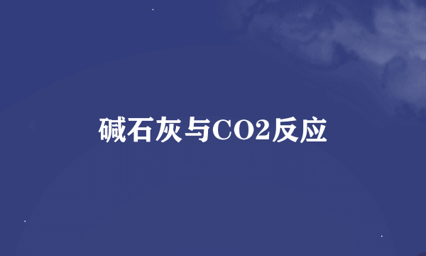 碱石灰与CO2反应