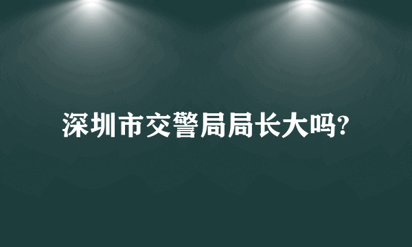 深圳市交警局局长大吗?