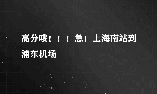 高分哦！！！急！上海南站到浦东机场