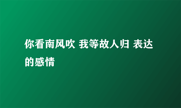 你看南风吹 我等故人归 表达的感情