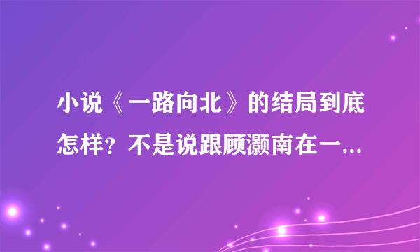 小说《一路向北》的结局到底怎样？不是说跟顾灏南在一起麽？怎么莪看的不是这样的？