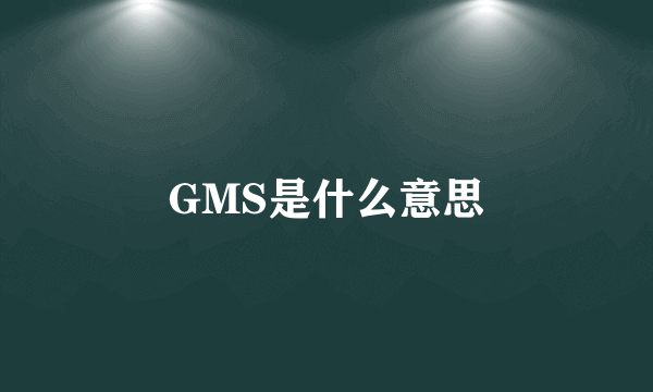 GMS是什么意思