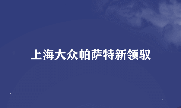 上海大众帕萨特新领驭