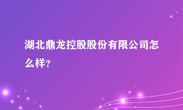 湖北鼎龙控股股份有限公司怎么样？