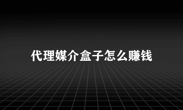 代理媒介盒子怎么赚钱