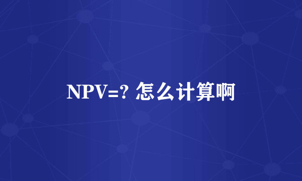 NPV=? 怎么计算啊