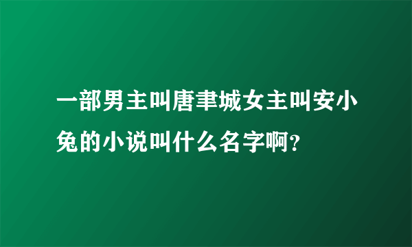 一部男主叫唐聿城女主叫安小兔的小说叫什么名字啊？