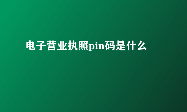 电子营业执照pin码是什么