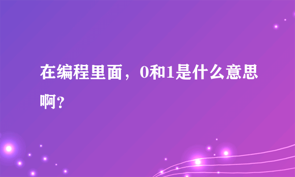 在编程里面，0和1是什么意思啊？