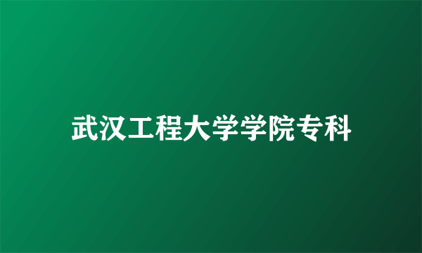 武汉工程大学学院专科