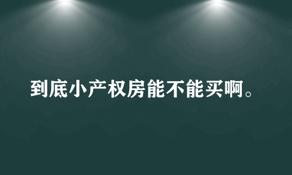 到底小产权房能不能买啊。