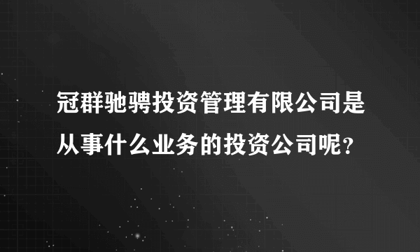 冠群驰骋投资管理有限公司是从事什么业务的投资公司呢？