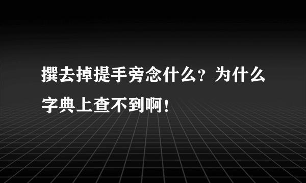 撰去掉提手旁念什么？为什么字典上查不到啊！