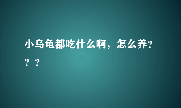 小乌龟都吃什么啊，怎么养？？？